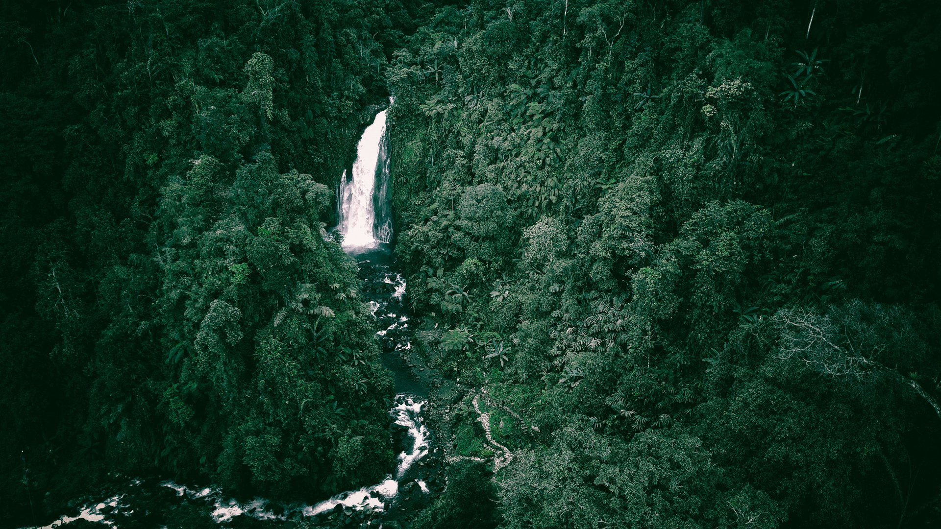 Water Cascade And River in a Tropical Forest 